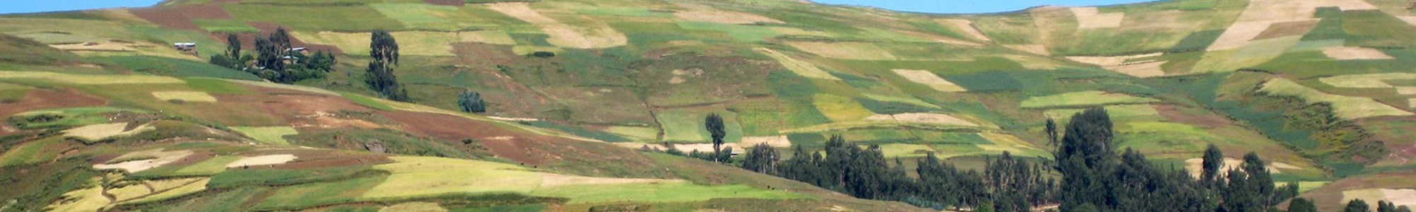 Ethiopia Landscape Reila Edit